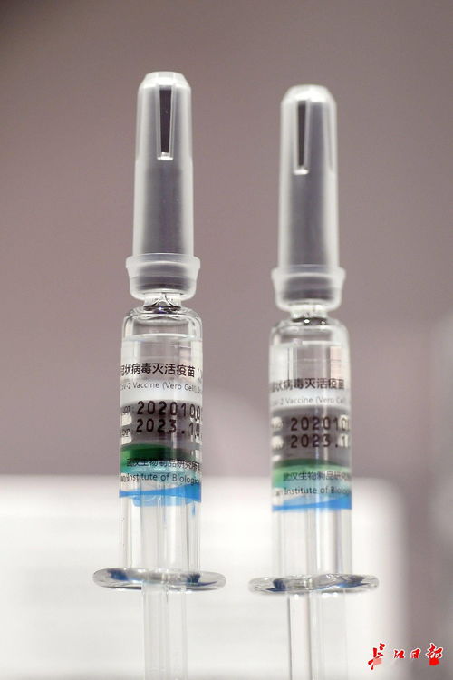 加班加点生产新冠疫苗